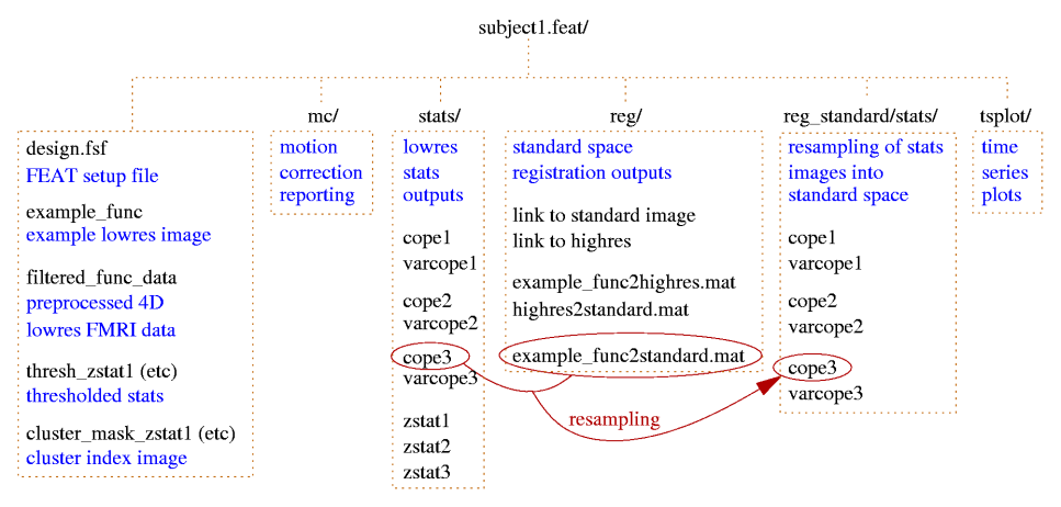 FEAT first level output
