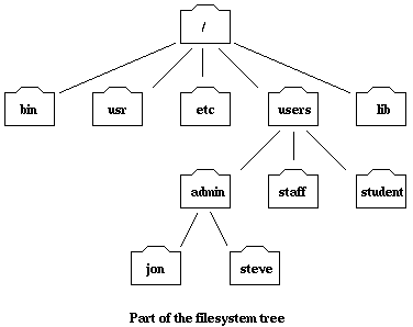 The File System